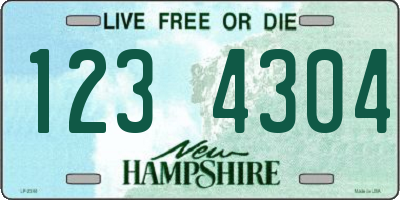 NH license plate 1234304