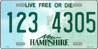 NH license plate 1234305