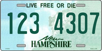 NH license plate 1234307