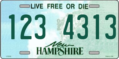 NH license plate 1234313
