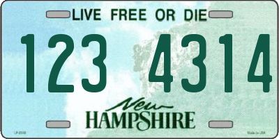 NH license plate 1234314