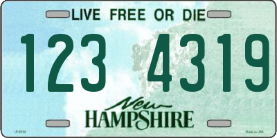 NH license plate 1234319