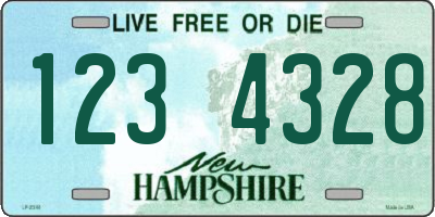 NH license plate 1234328