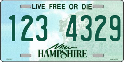 NH license plate 1234329