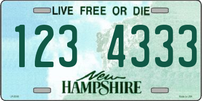 NH license plate 1234333