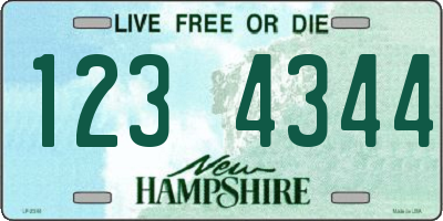 NH license plate 1234344