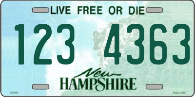 NH license plate 1234363