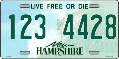 NH license plate 1234428