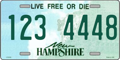 NH license plate 1234448