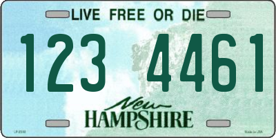 NH license plate 1234461