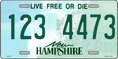 NH license plate 1234473