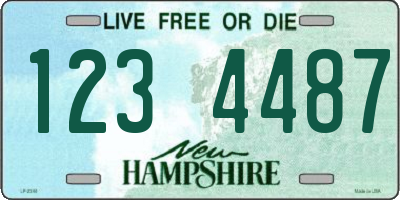 NH license plate 1234487