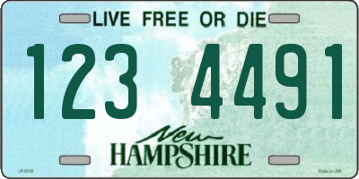 NH license plate 1234491