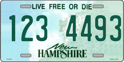 NH license plate 1234493