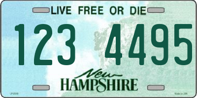 NH license plate 1234495