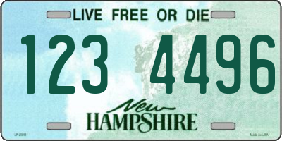 NH license plate 1234496