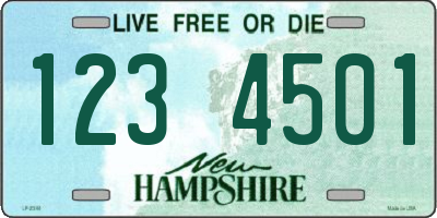 NH license plate 1234501