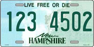 NH license plate 1234502