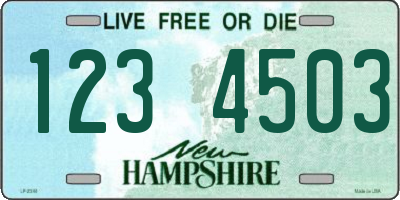 NH license plate 1234503