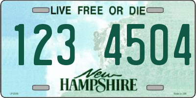 NH license plate 1234504