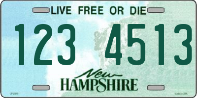 NH license plate 1234513