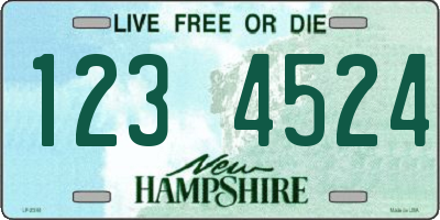 NH license plate 1234524