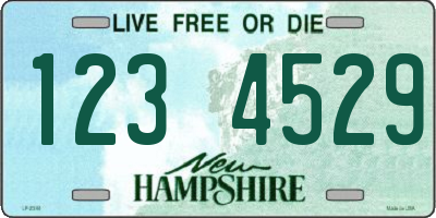 NH license plate 1234529