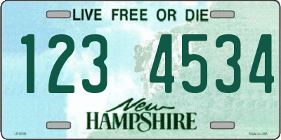 NH license plate 1234534