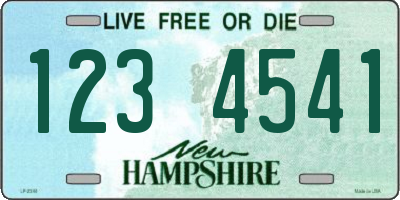 NH license plate 1234541