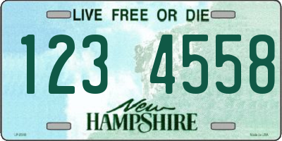 NH license plate 1234558