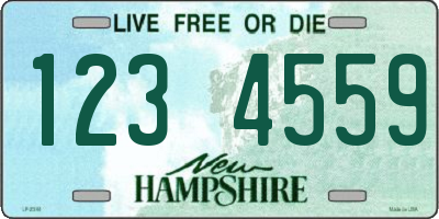 NH license plate 1234559