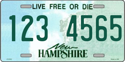 NH license plate 1234565