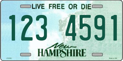 NH license plate 1234591