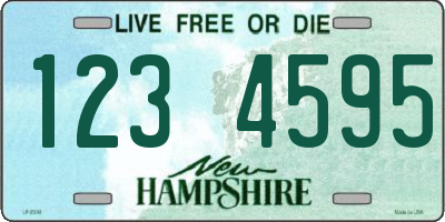 NH license plate 1234595
