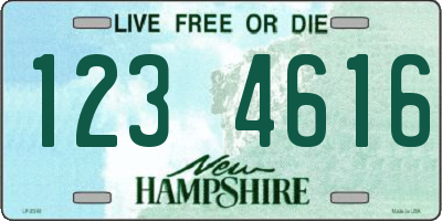NH license plate 1234616