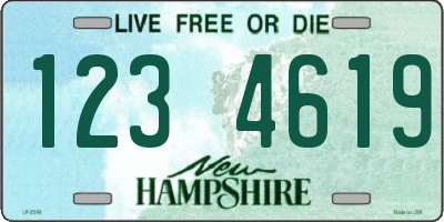 NH license plate 1234619
