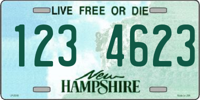 NH license plate 1234623