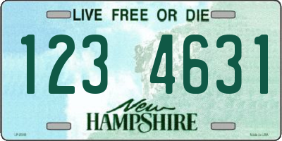 NH license plate 1234631