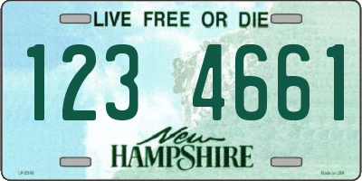 NH license plate 1234661