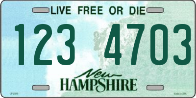 NH license plate 1234703