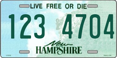 NH license plate 1234704