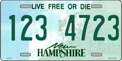 NH license plate 1234723