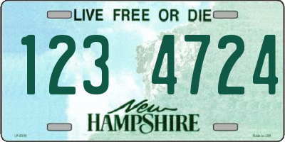 NH license plate 1234724