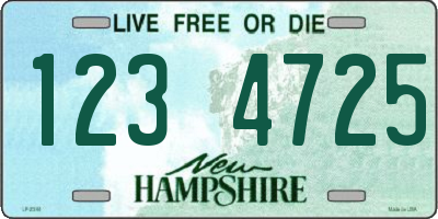 NH license plate 1234725