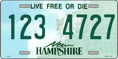 NH license plate 1234727