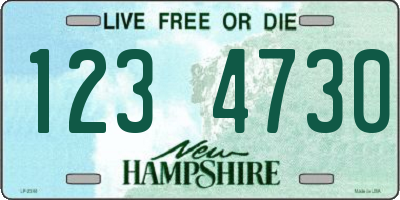 NH license plate 1234730