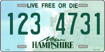 NH license plate 1234731