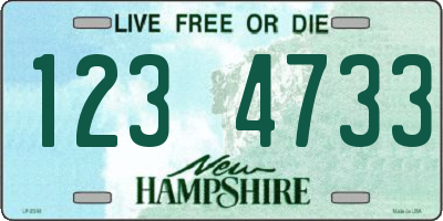 NH license plate 1234733