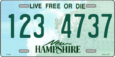 NH license plate 1234737