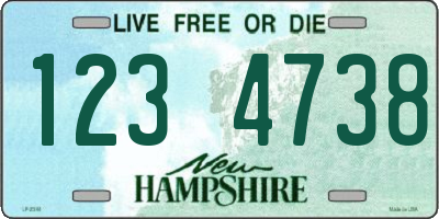 NH license plate 1234738